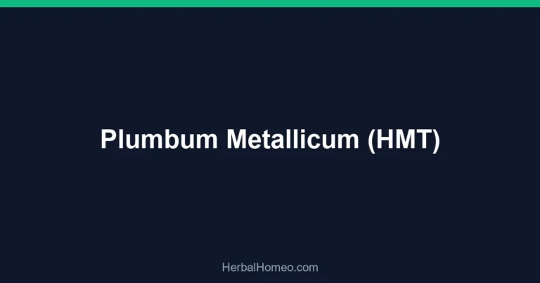 Plumbum Metallicum (HMT)