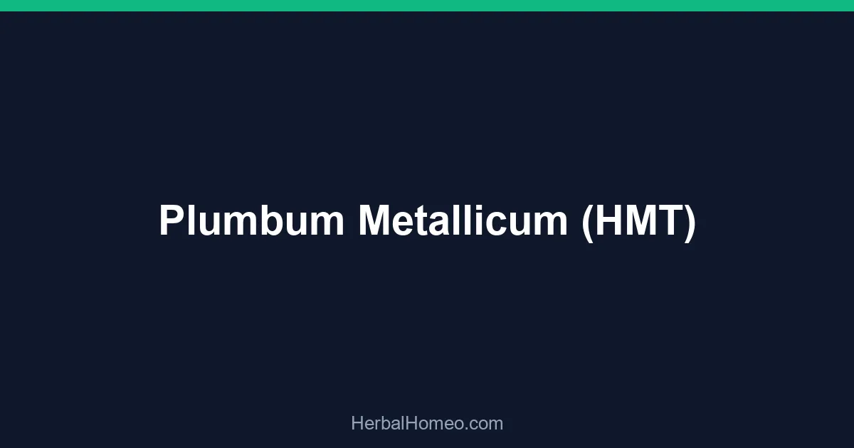 Plumbum Metallicum (HMT)