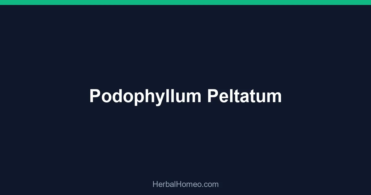 Podophyllum Peltatum