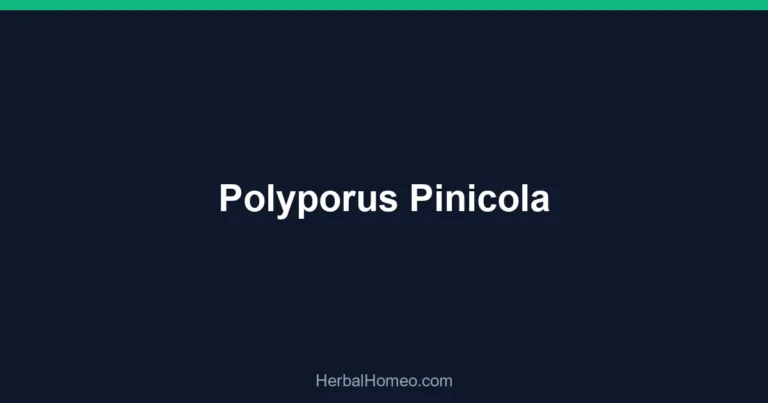 Polyporus Pinicola