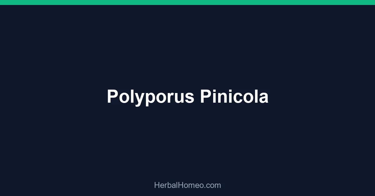 Polyporus Pinicola