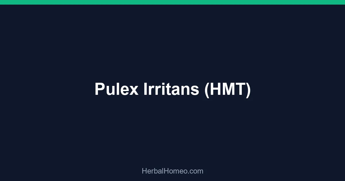 Pulex Irritans (HMT)