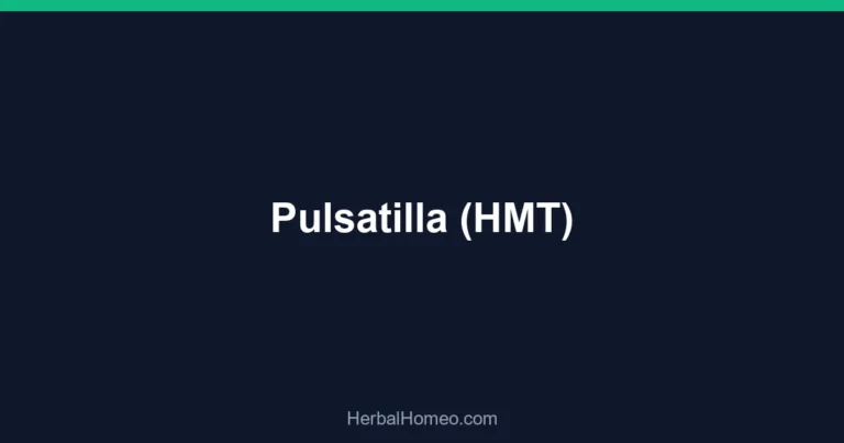 Pulsatilla (HMT)