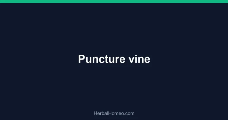 Puncture vine