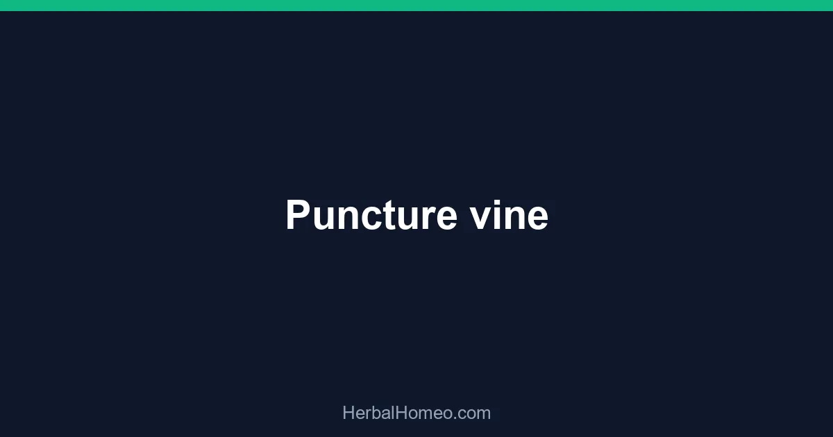 Puncture vine