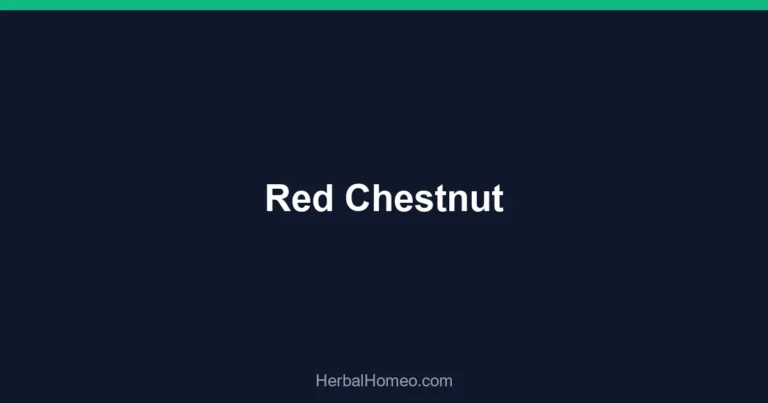 Red Chestnut