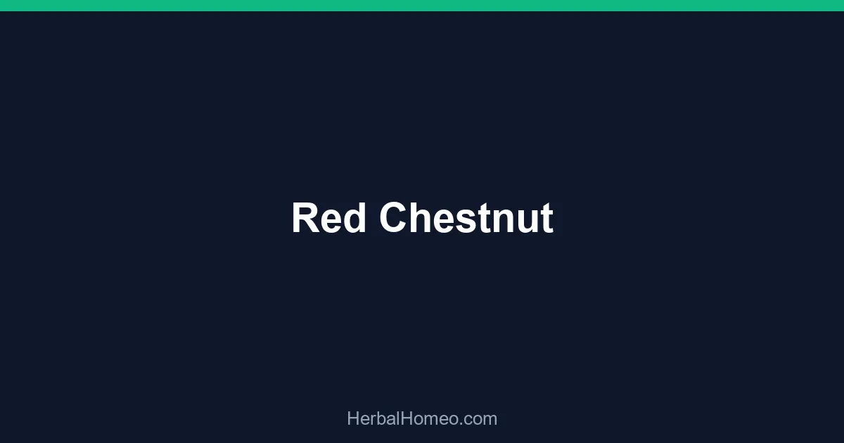 Red Chestnut