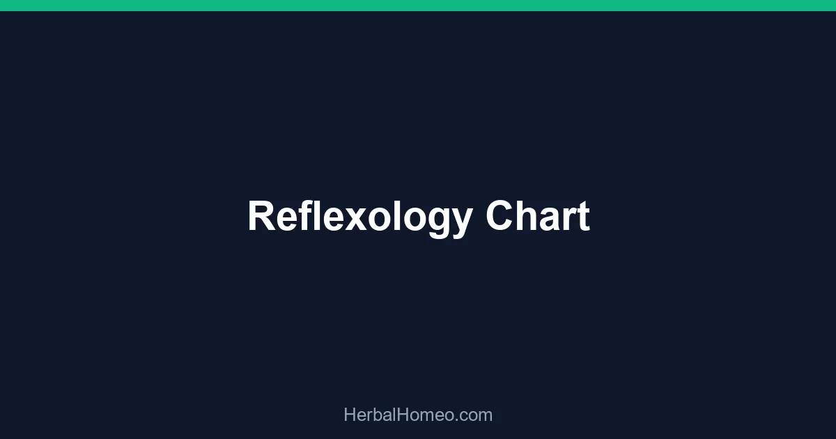 Reflexology Chart