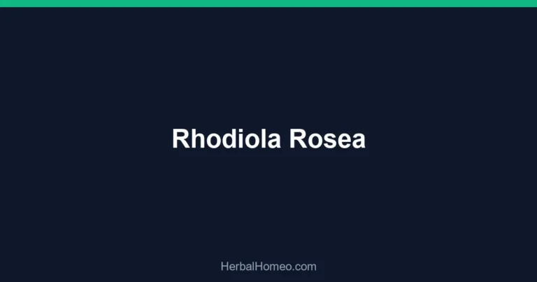 Rhodiola Rosea