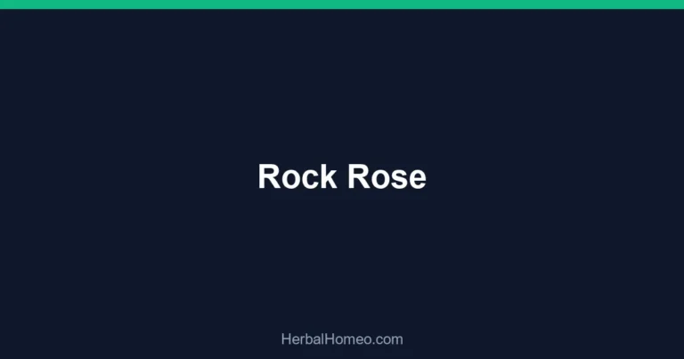 Rock Rose