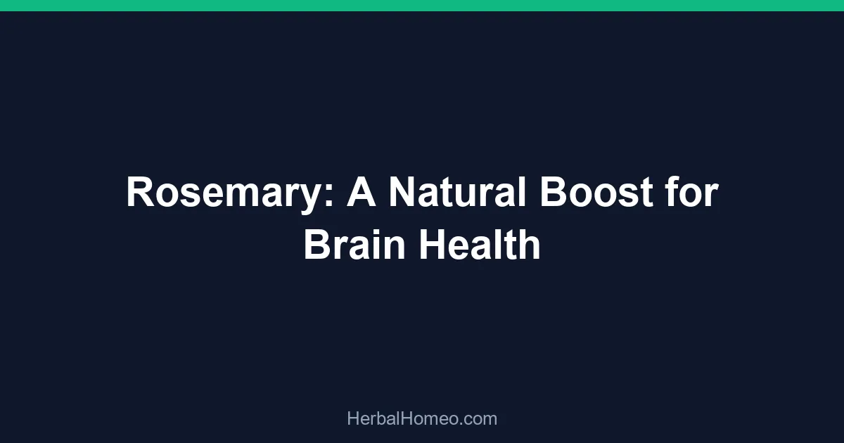 Rosemary: A Natural Boost for Brain Health