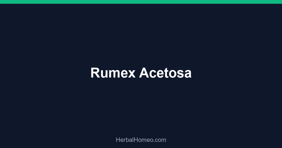Rumex Acetosa