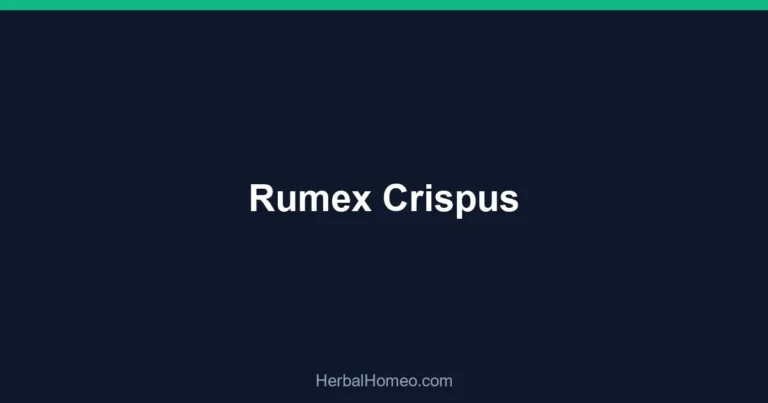 Rumex Crispus