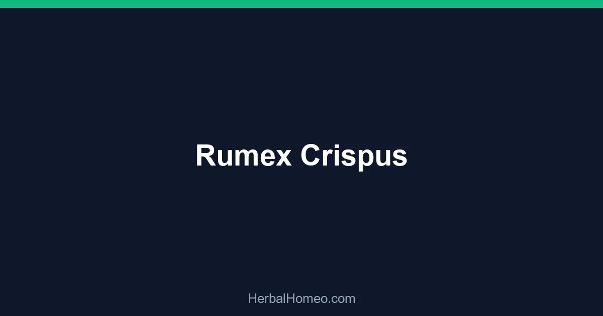 Rumex Crispus