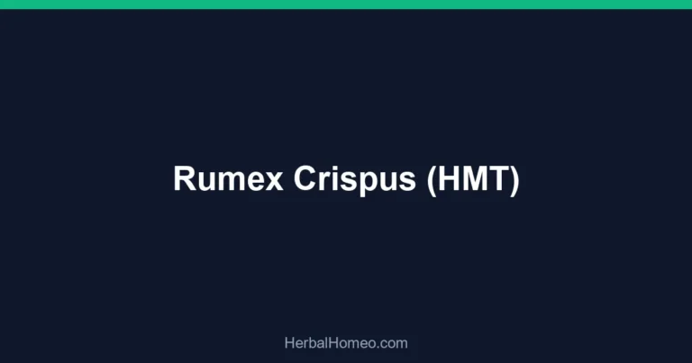 Rumex Crispus (HMT)