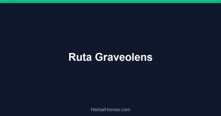 Ruta Graveolens
