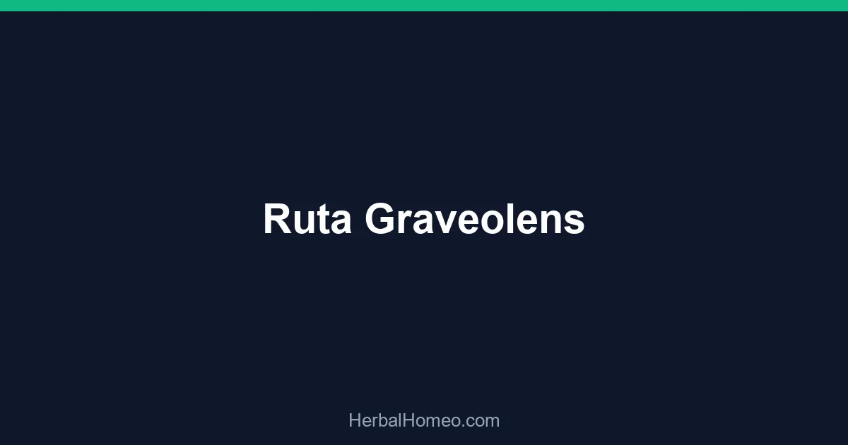 Ruta Graveolens