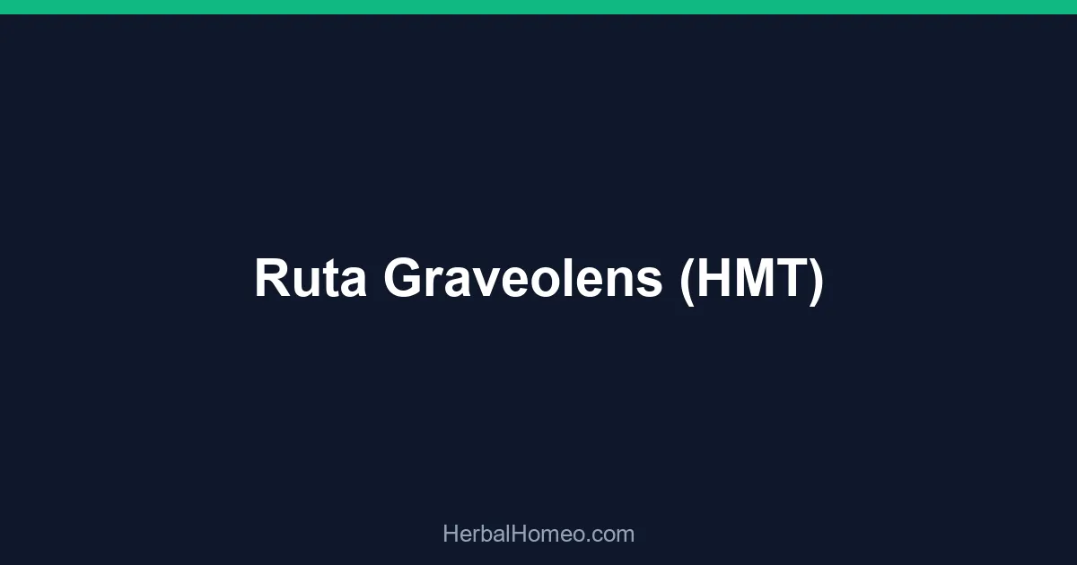 Ruta Graveolens (HMT)