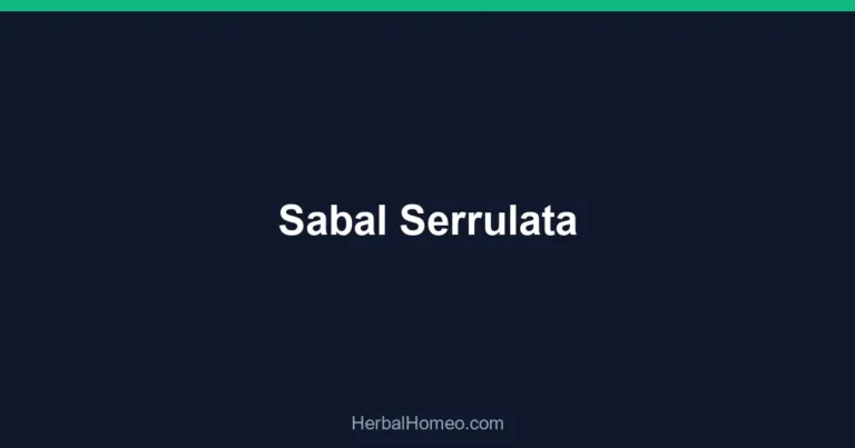 Sabal Serrulata