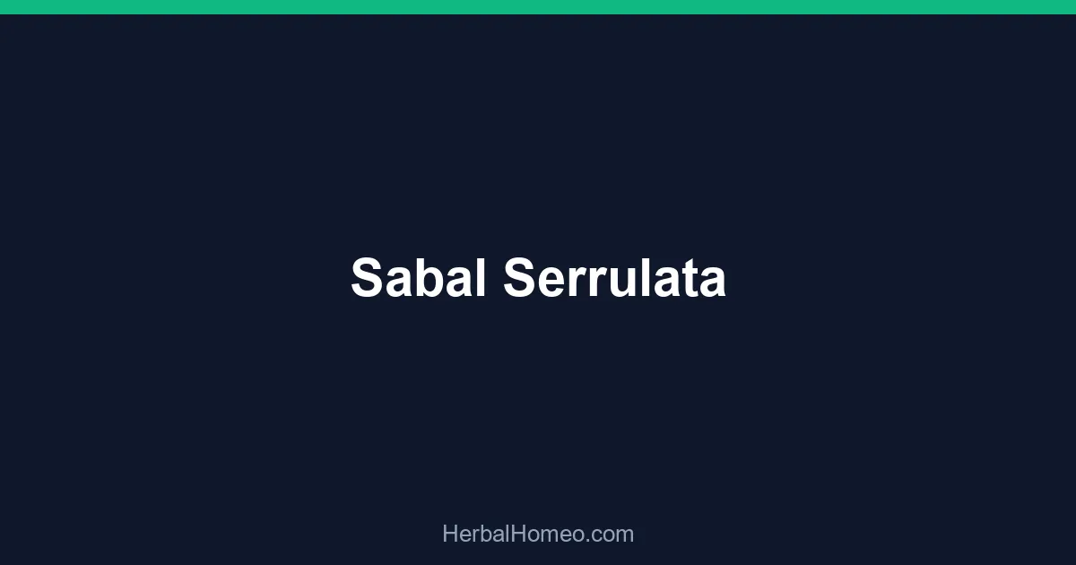 Sabal Serrulata