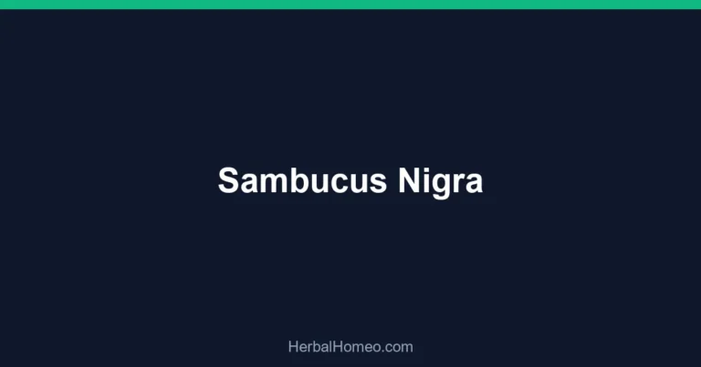 Sambucus Nigra
