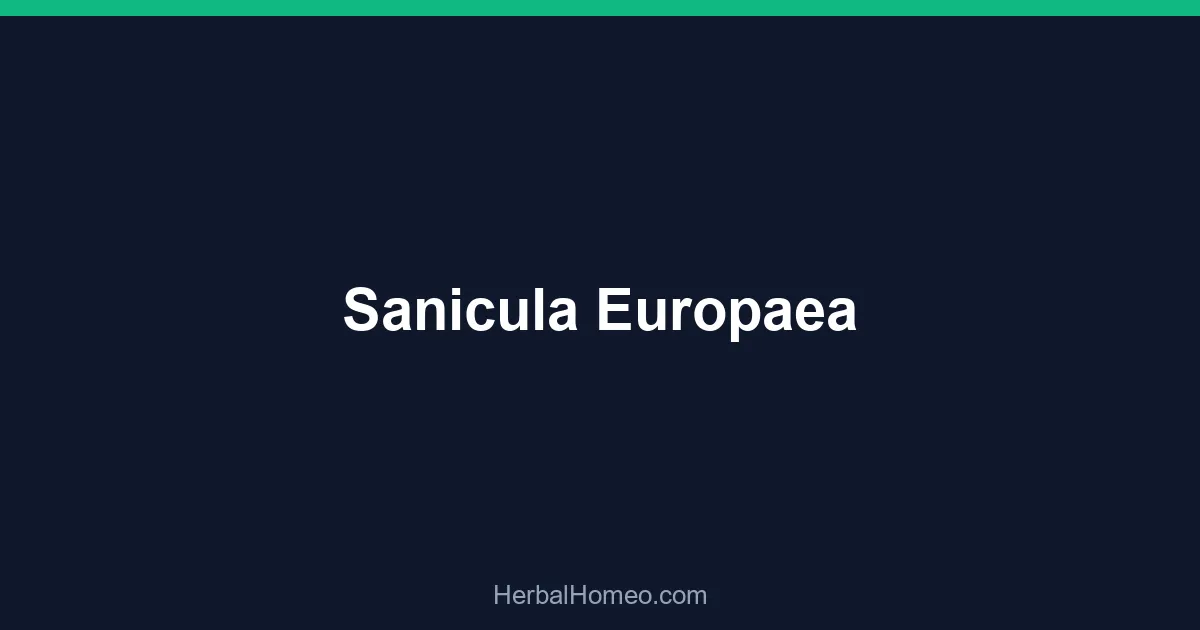 Sanicula Europaea