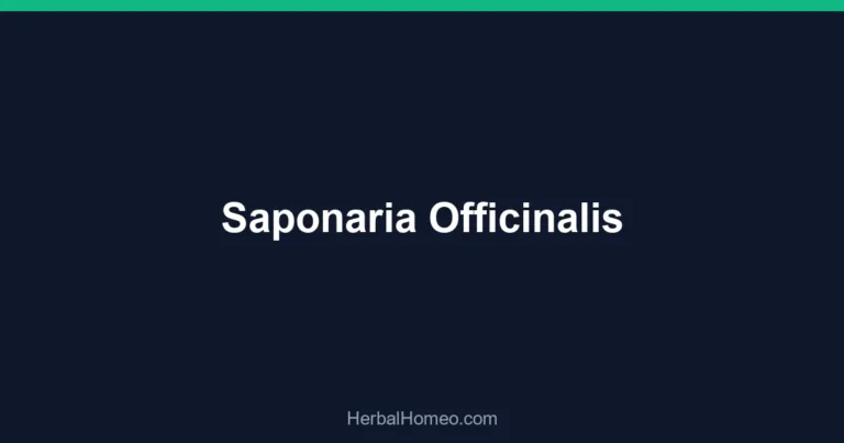 Saponaria Officinalis