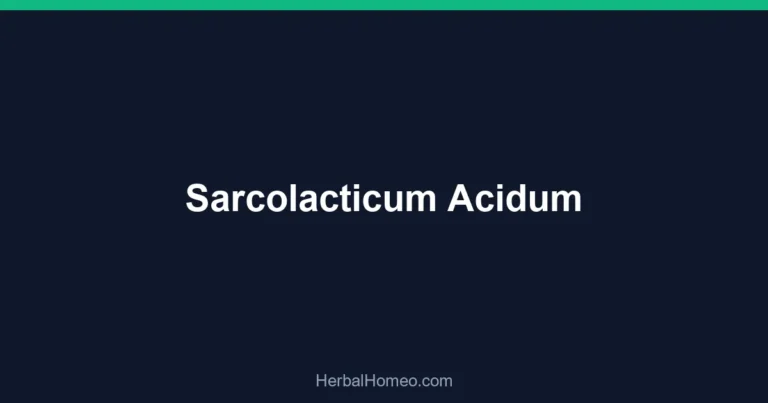 Sarcolacticum Acidum