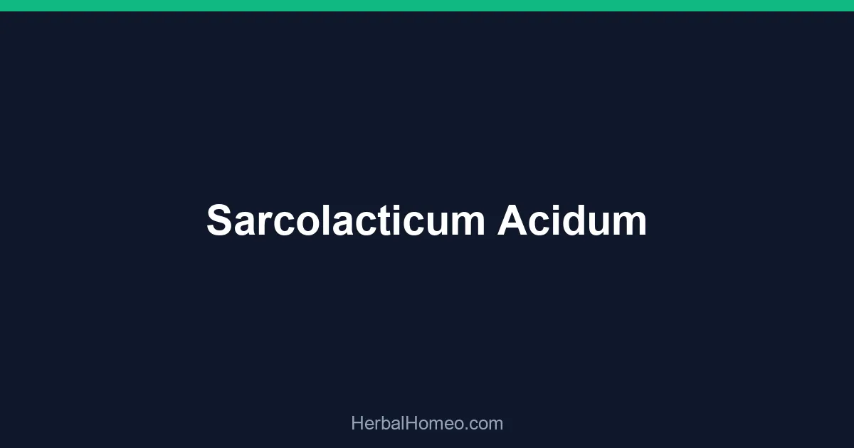 Sarcolacticum Acidum