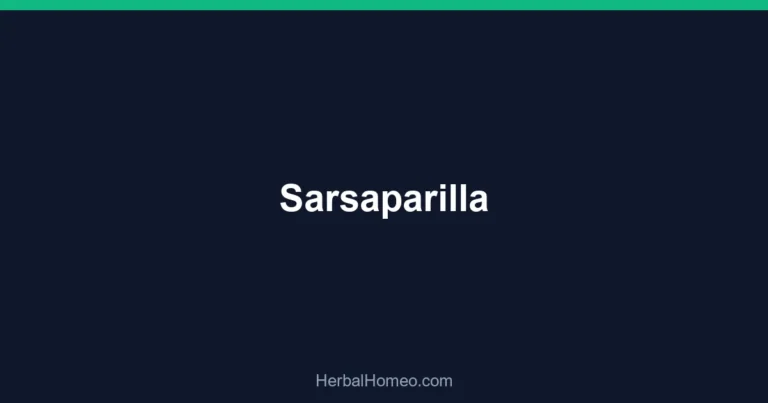 Sarsaparilla