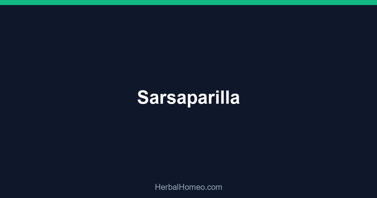 Sarsaparilla