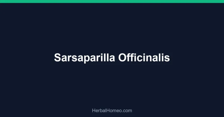 Sarsaparilla Officinalis