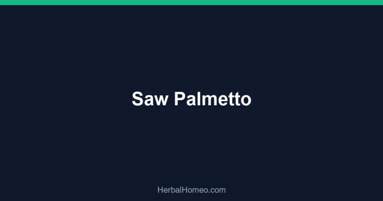 Saw Palmetto