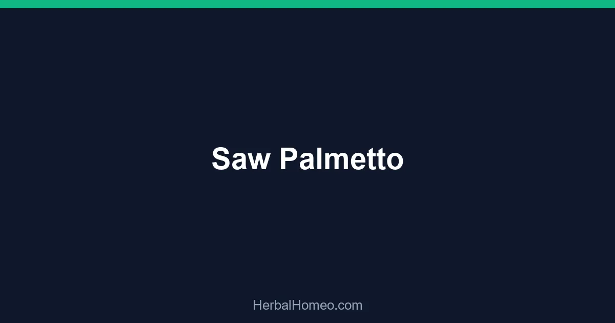 Saw Palmetto