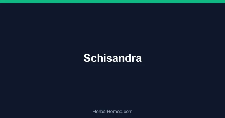 Schisandra