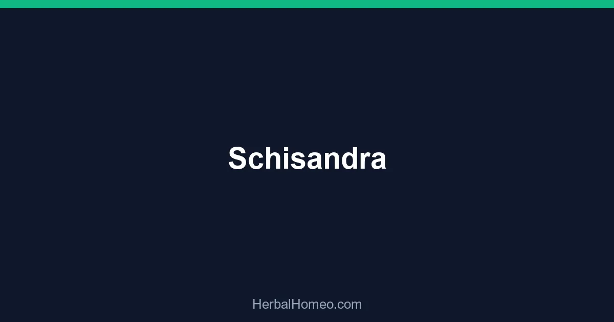 Schisandra