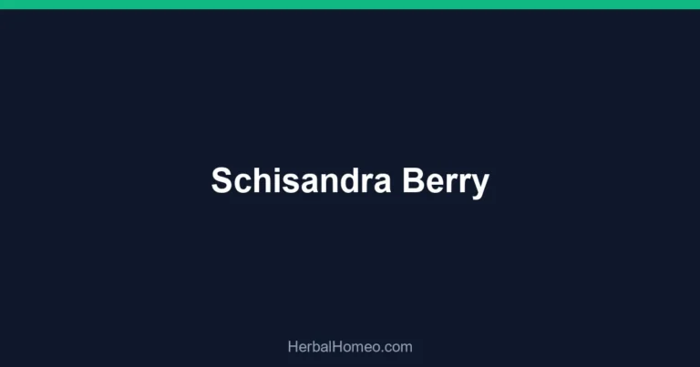 Schisandra Berry