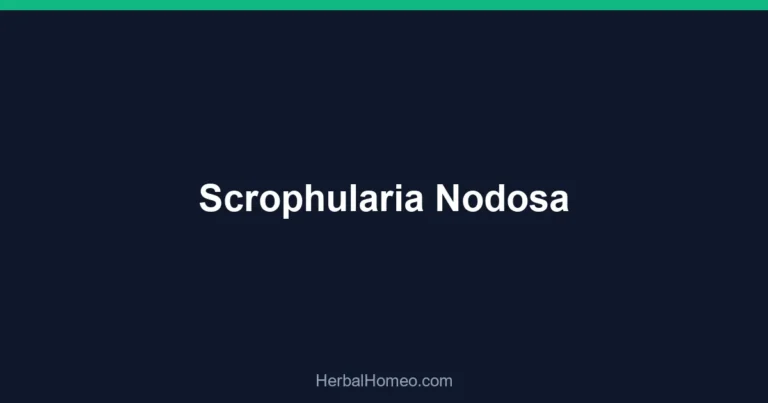 Scrophularia Nodosa