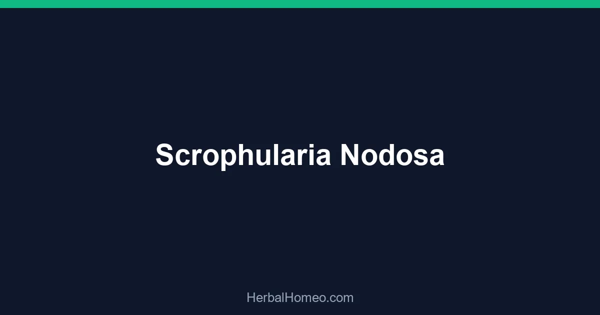 Scrophularia Nodosa