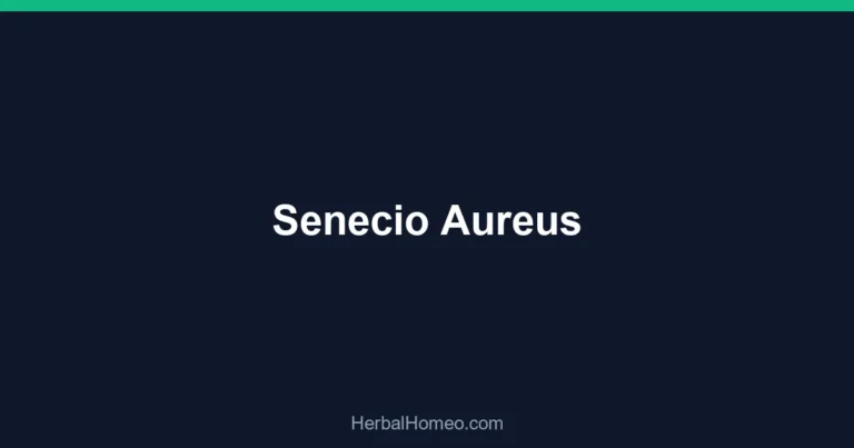 Senecio Aureus