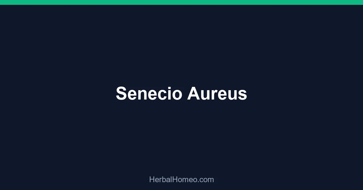 Senecio Aureus