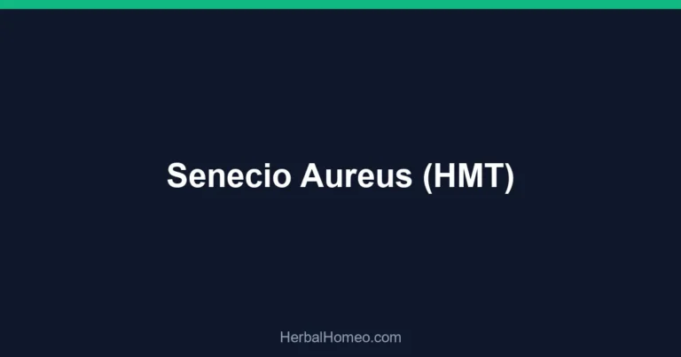 Senecio Aureus (HMT)