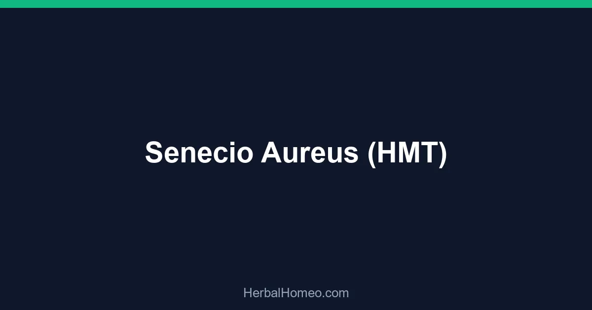 Senecio Aureus (HMT)