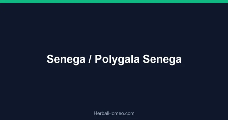 Senega / Polygala Senega