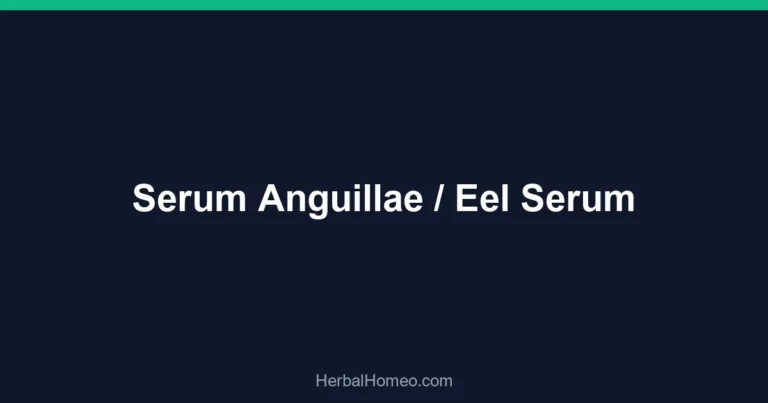 Serum Anguillae / Eel Serum
