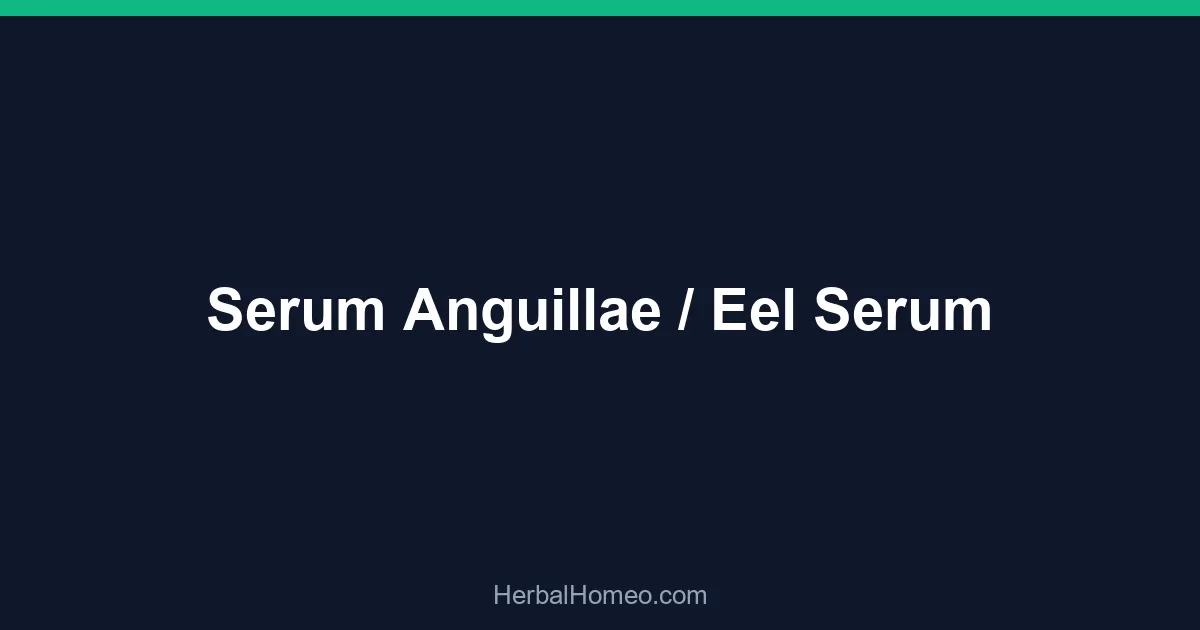 Serum Anguillae / Eel Serum