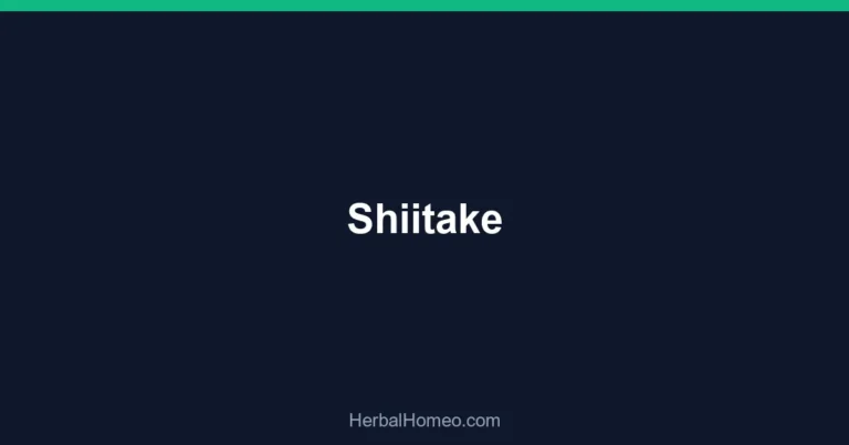 Shiitake