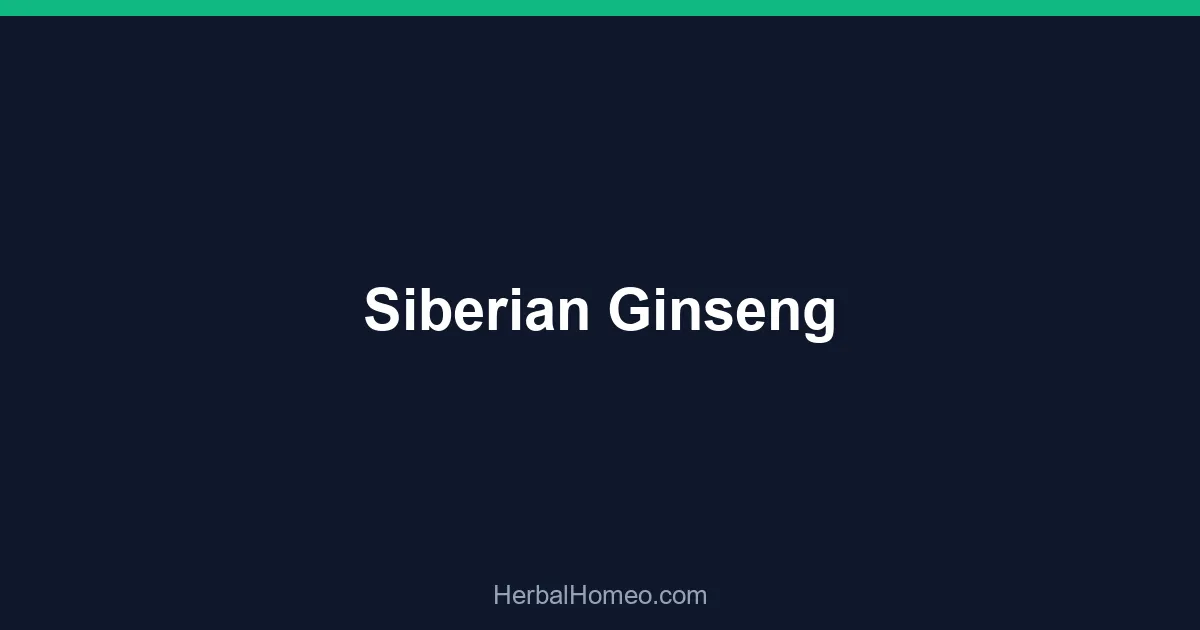 Siberian Ginseng