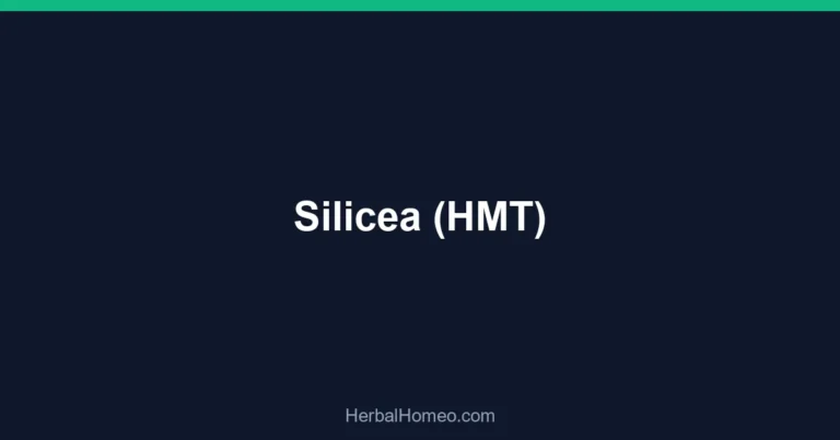 Silicea (HMT)