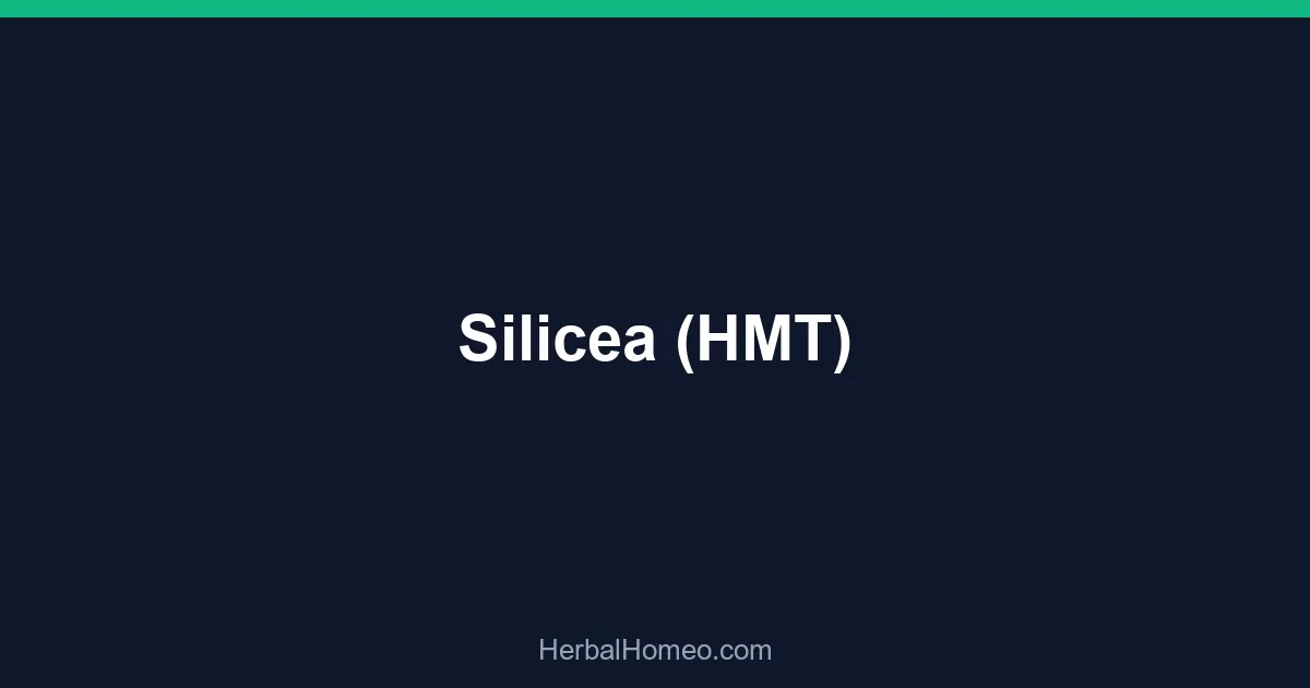 Silicea (HMT)
